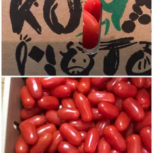 熊本トマト🍅のサムネイル